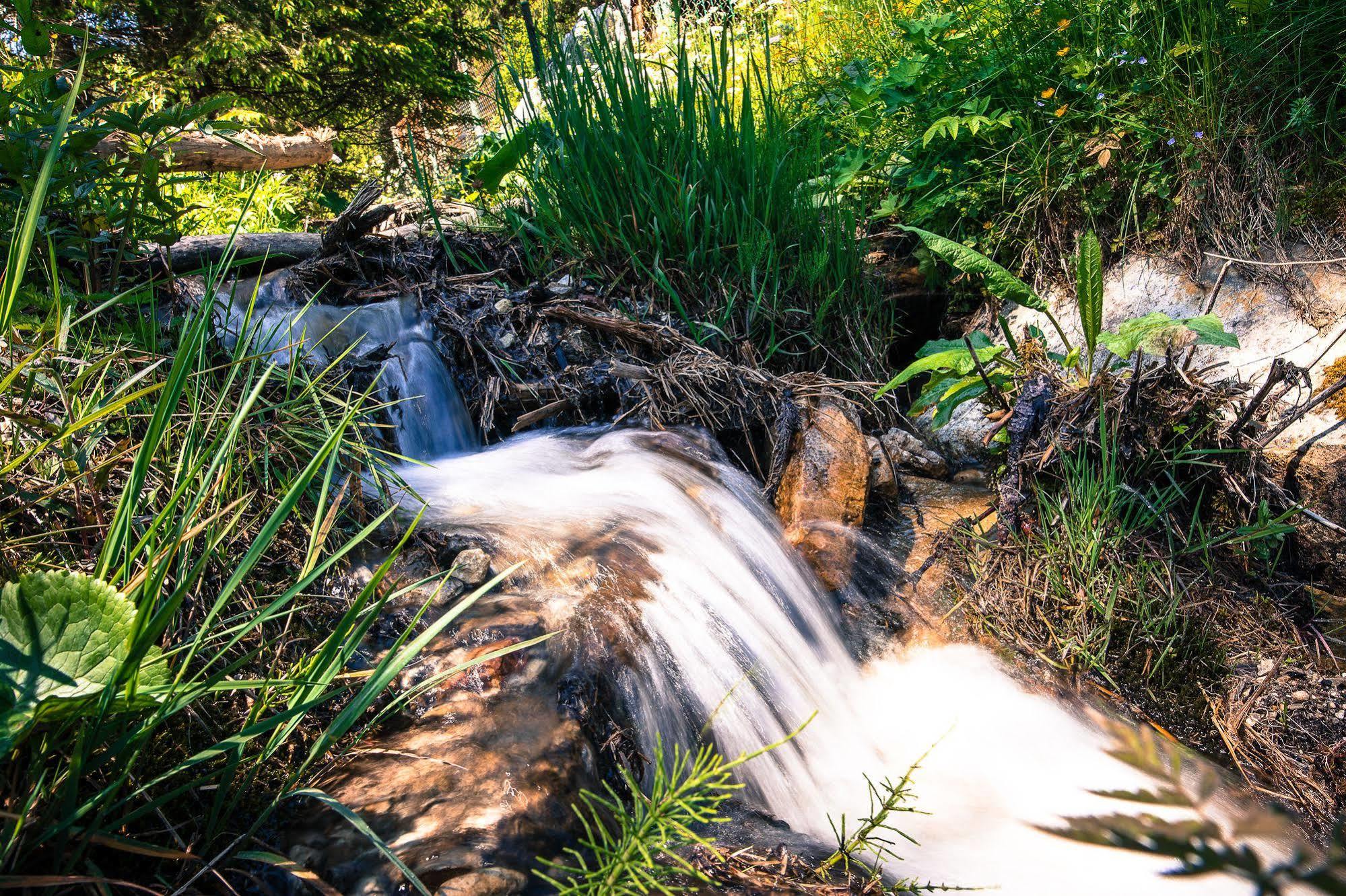 Vila Wili Hunter Donovaly Exteriér fotografie